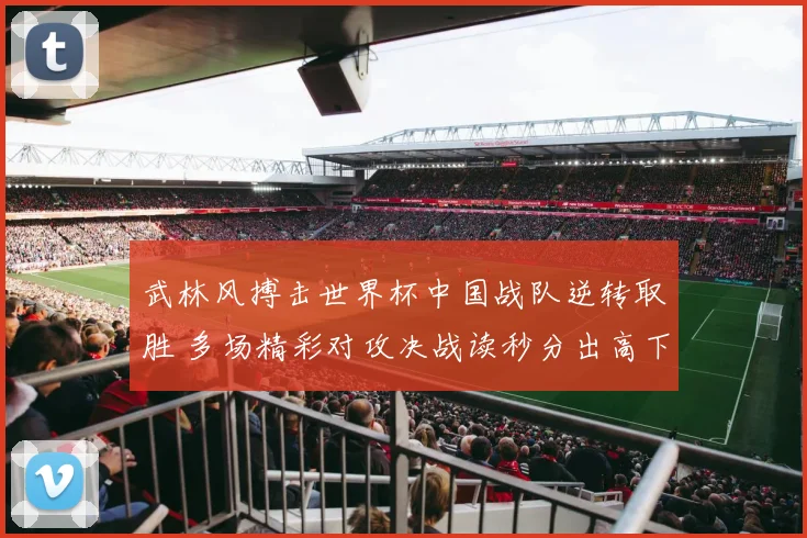 武林风搏击世界杯中国战队逆转取胜 多场精彩对攻决战读秒分出高下