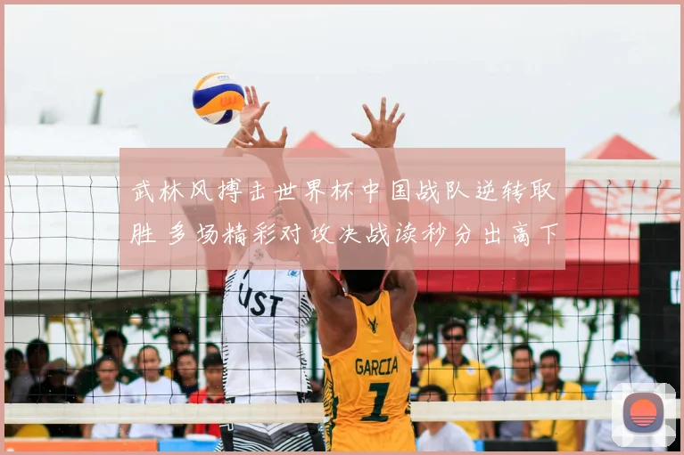 武林风搏击世界杯中国战队逆转取胜 多场精彩对攻决战读秒分出高下