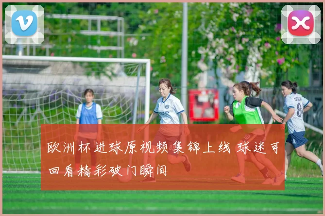 欧洲杯进球原视频集锦上线 球迷可回看精彩破门瞬间