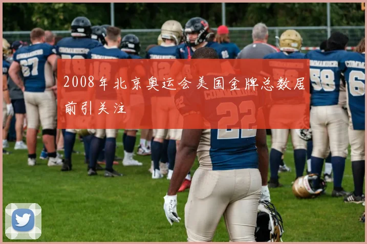 2008年北京奥运会美国金牌总数居前引关注